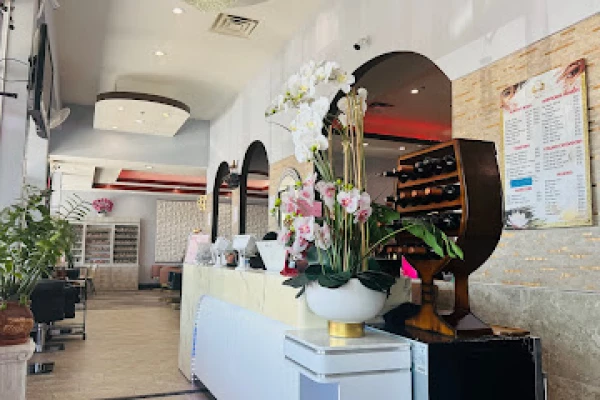 Avi Nail Spa Lash & Brow