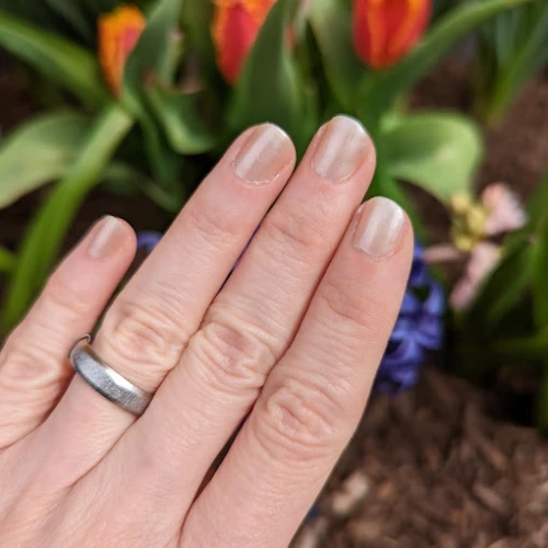 Chameleon Spa Nails Inc