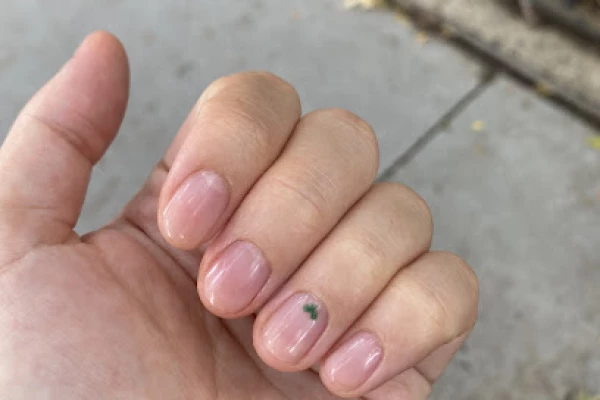 Chameleon Spa Nails Inc