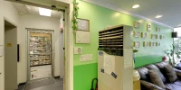 Gallery 1 