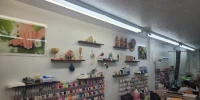 Gallery 4 